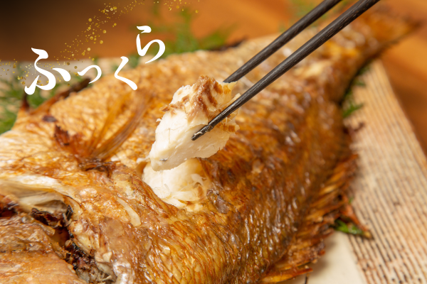 [冬ギフト]ジューシーな塩焼き鯛♪皮は香ばしく、身はふっくら! ◎脂がじゅわっと溢れ出る塩焼き!