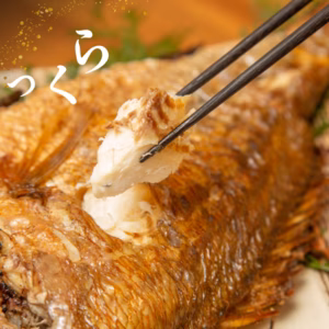 【冬ギフト】ジューシーな塩焼き鯛♪皮は香ばしく、身はふっくら！