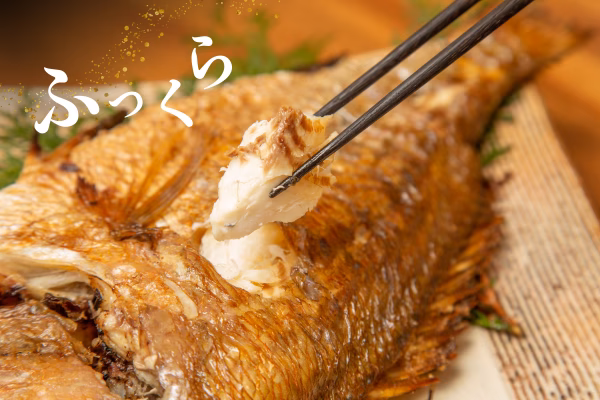 【冬ギフト】ジューシーな塩焼き鯛♪皮は香ばしく、身はふっくら！