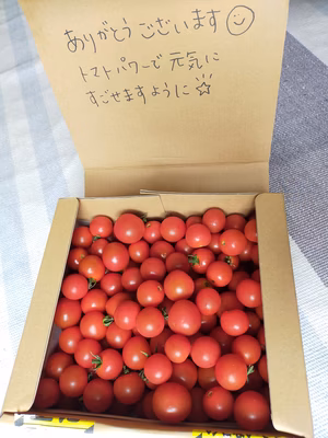 みんなの投稿の画像