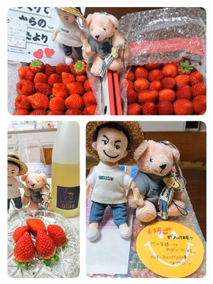 みんなの投稿の画像