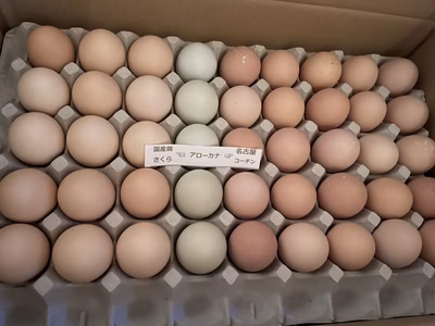 みんなの投稿の画像