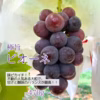 秋ぶどう人気セット！シャインマスカットとピオーネのセット