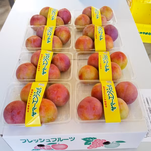 【7月下旬頃発送予定】山梨県産スモモ サマーエンジェル 約4.0kg