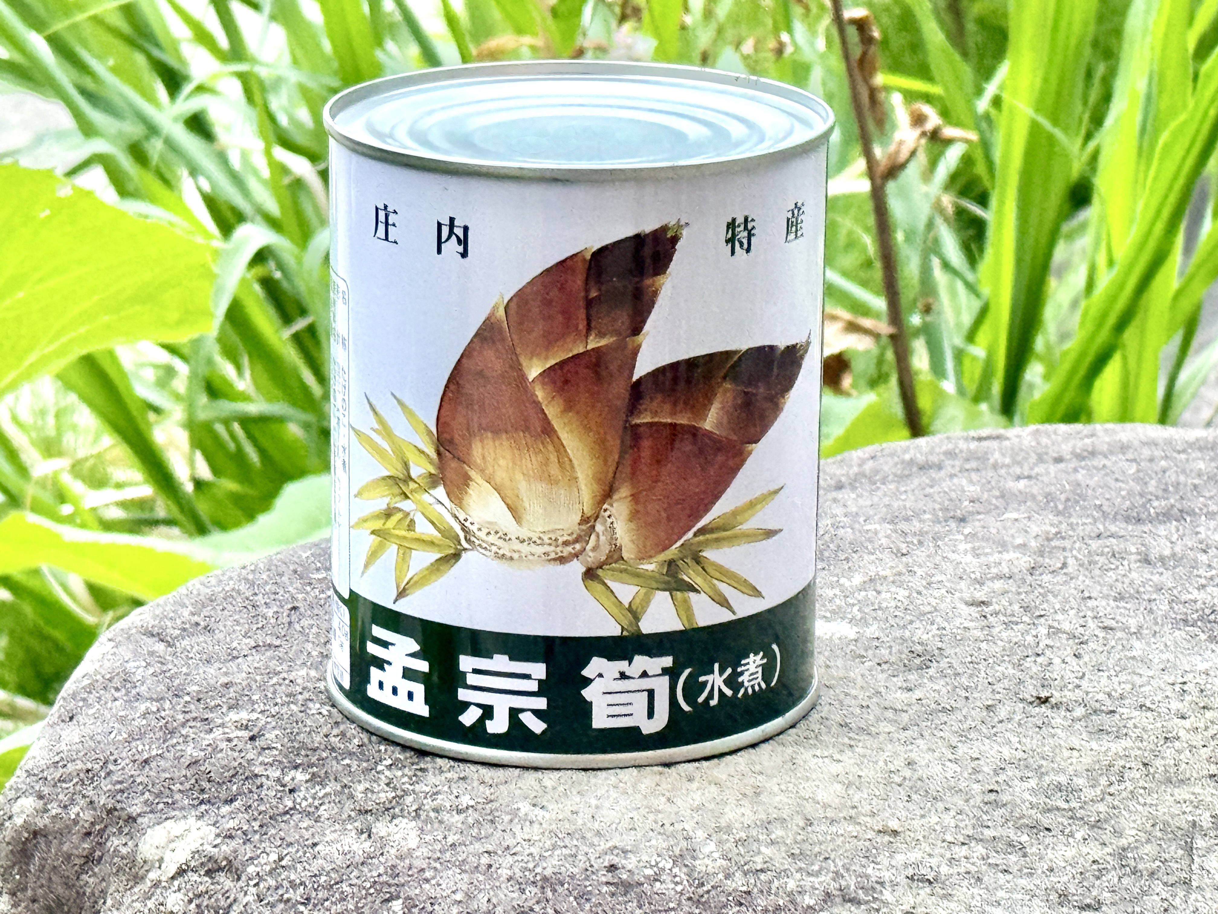 産地直送！   「タケノコ」   生食用 たけのこ（野菜）の産地直送商品一覧（通販・お取り寄せ）-産直