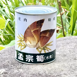 【山形県庄内産】孟宗筍（水煮）缶詰