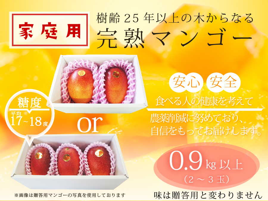 家庭用 樹齢25年以上の木からなる糖度約17 18度の完熟マンゴー 農家漁師から産地直送の通販 ポケットマルシェ