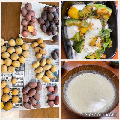 みんなの投稿の画像