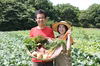 【レシピ付】あるまま農園・無農薬野菜セット＜M＞毎週