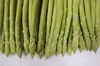 今が旬！夏芽アスパラガス　L〜2Lサイズ1kg