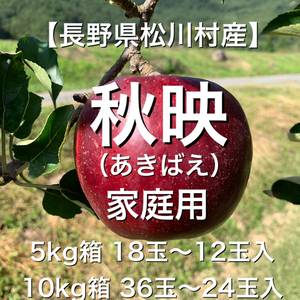りんご三兄弟【長野県松川村産】秋映 家庭用 5kg 10kg