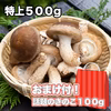 【5周年福袋】『特上500ｇ 長生き椎茸』＋おまけ（今話題のきのこ100g）