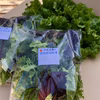 やまもりサラダ野菜〜無農薬、化学肥料なし〜