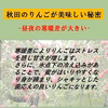 トキ やたか 食べ比べセット 秋田県産 りんご ギフトはもちろんご家庭でも