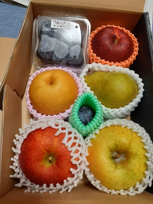 みんなの投稿の画像