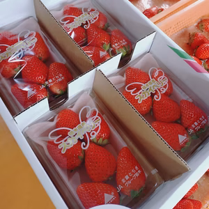 【限定SALE!!すぐ発送!!】食べやすいサイズのスカイベリー