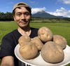 大山じゃがいも【キタアカリ】　ポテトサラダやコロッケにおすすめ！！