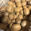 生産量日本一！愛媛県産キウイフルーツ（ヘイワード）
