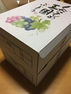 岡山産　朝採りシャインマスカット　2キロ箱✖️2箱 一箱3〜4房