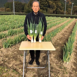 ユネスコエコパークで育った甘くてシャキシャキ奥伊勢ねぎ！！
