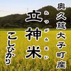 【特別栽培米】立神米こしひかり【R6年 大子町産】