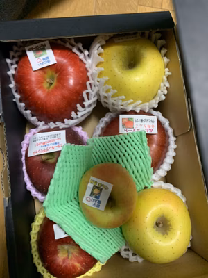 みんなの投稿の画像