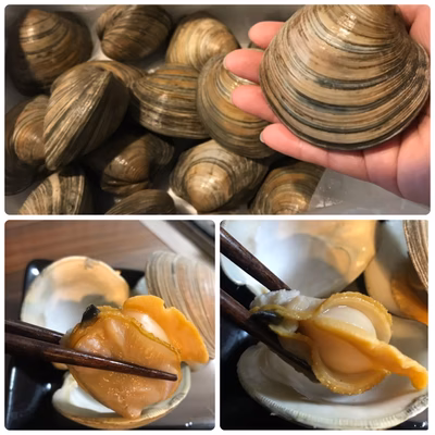 みんなの投稿の画像