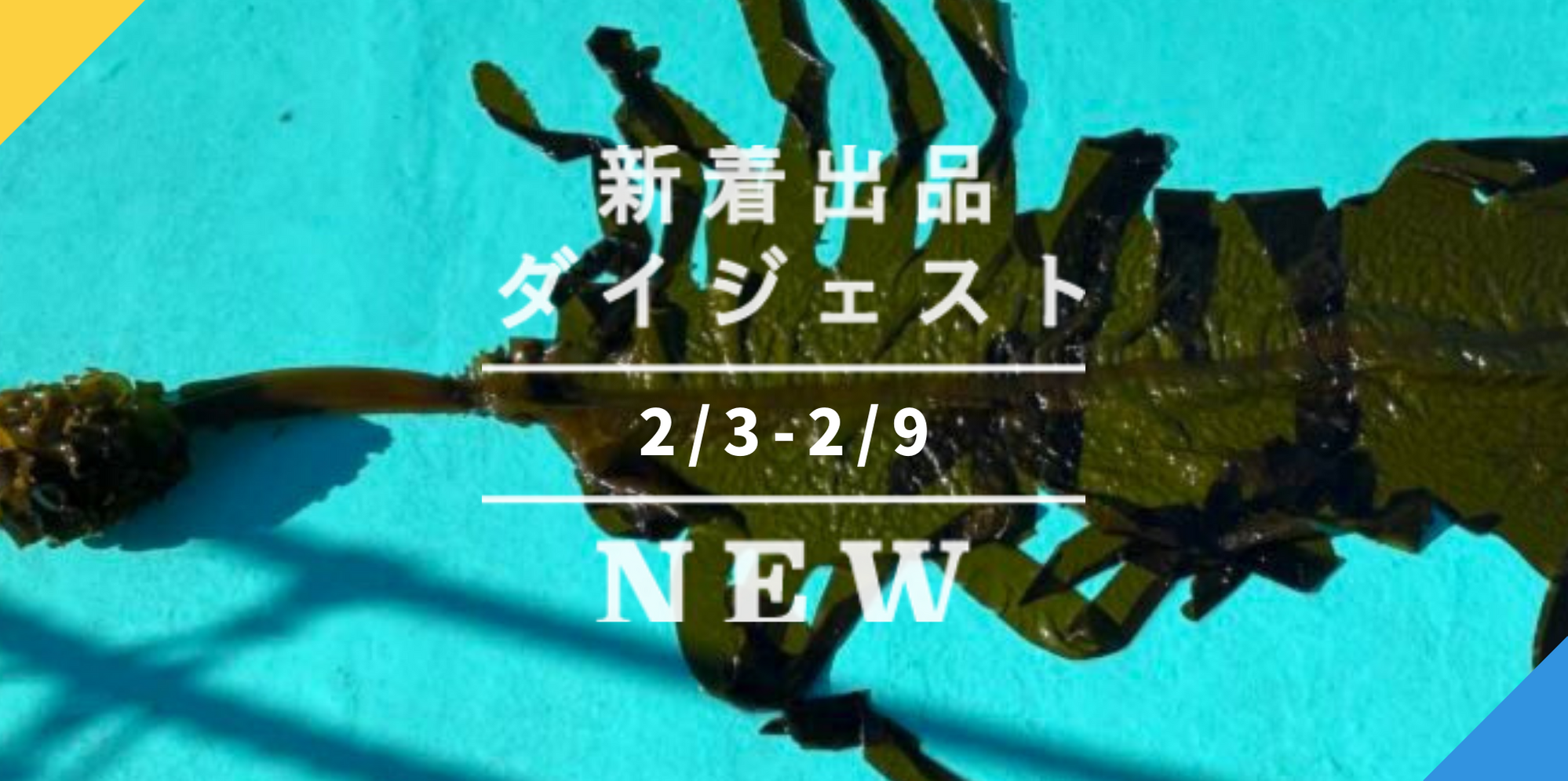 バックナンバー]今週のおすすめ後半②[宅配便編](2021年2月12日編