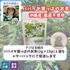 【送料込】パパイヤ葉っぱのお茶｜沖縄産（無農薬）