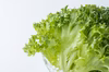 【リピート多数！】シャキシャキ！フリルレタス【熊本県産】