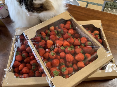 みんなの投稿の画像