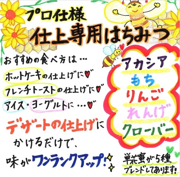 【嬉しい2本セット】国産純粋りんご・プロ仕様仕上げ専用蜂蜜500gポリチューブ