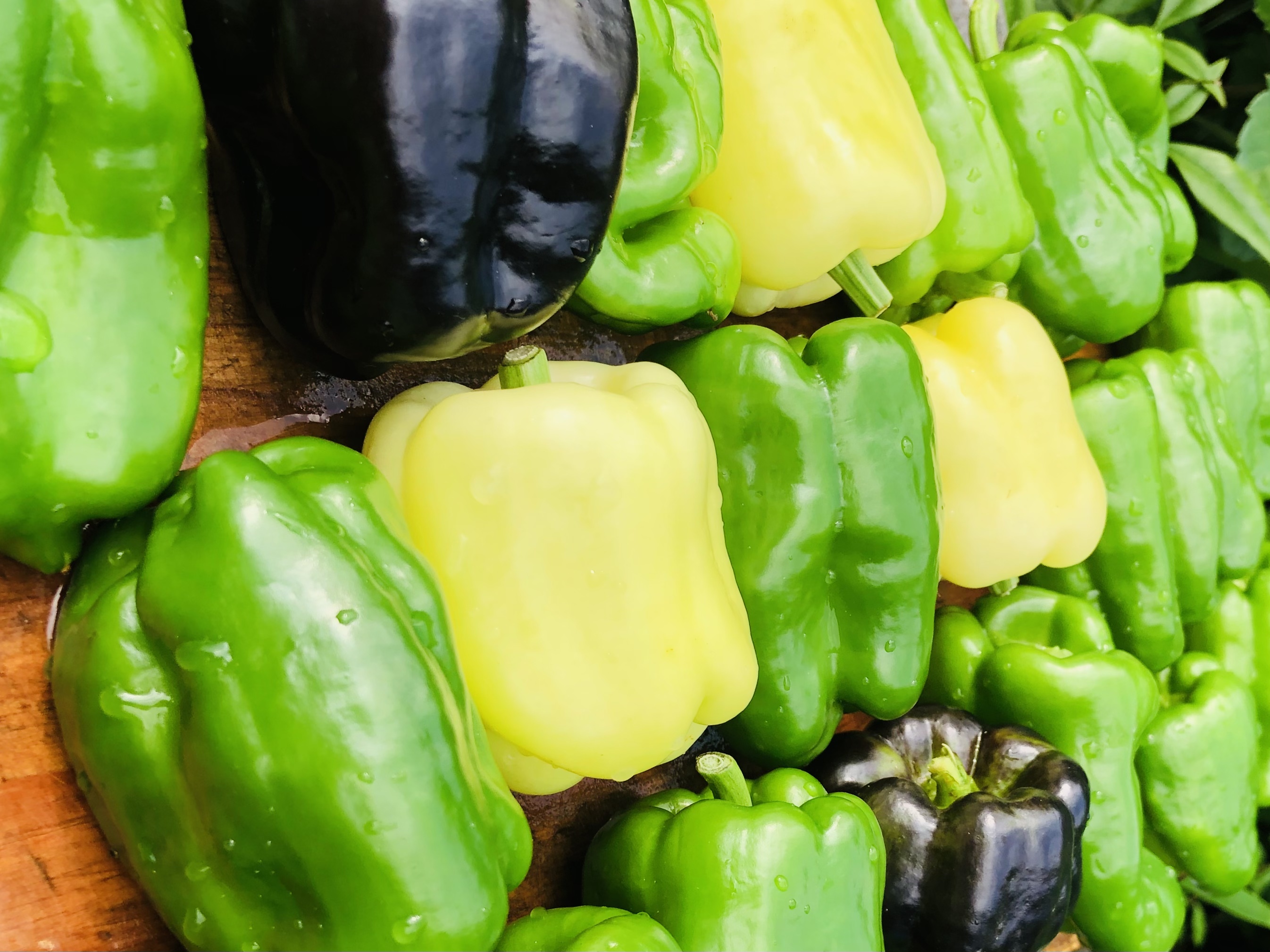 限定販売 料理がワンランクアップ 輝くパプリカ 生で美味しいクリームパプリカ 農家漁師から産地直送の通販 ポケットマルシェ