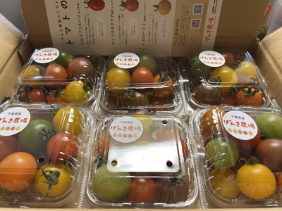 みんなの投稿の画像