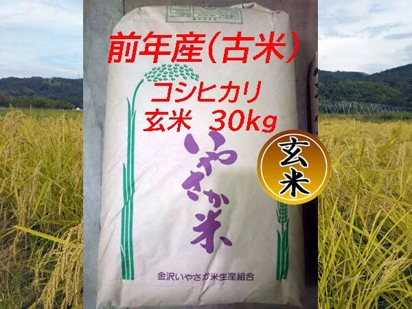 コシヒカリ 玄米 30kg【R３年産】金沢いやさか米