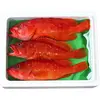 【夏季限定】あっさり上品な旨味の白身魚！宮崎県産の高級魚アカハタ