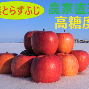 青森県産　樹上完熟　葉とらずふじ　農家直送