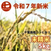 【未精米】令和7年新米ヒラヤマファームの米（5kg）