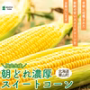北海道栗山町産 朝どれ濃厚スイートコーン