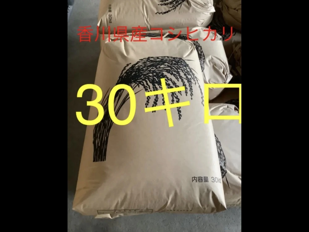 令和4年度産新米香川県産コシヒカリ玄米30キロ　只今、送料割引き中‼️