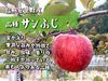 りんごの代表格！ サンふじ 3kg(8~12玉) 自家用(訳あり品) 長野県