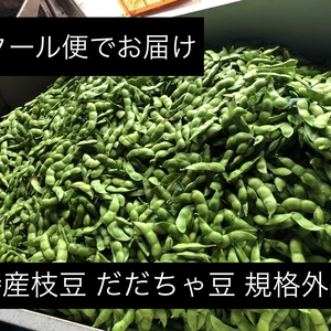 【7周年福袋】だだちゃ豆 規格外品 山形県鶴岡市特産の枝豆の王様 季節限定