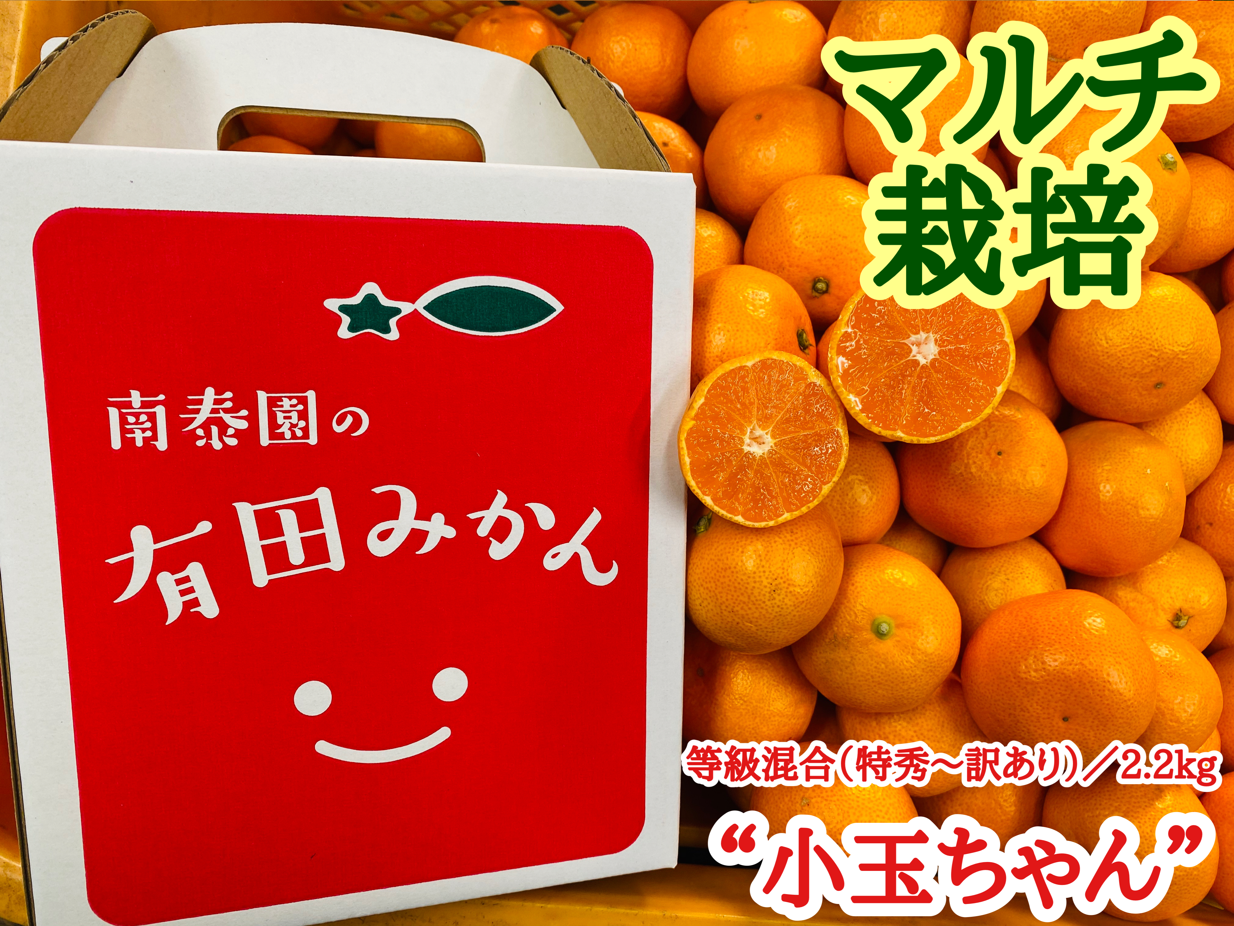 みかん 小玉の産直通販・お取り寄せ商品｜ポケットマルシェ｜産地直送
