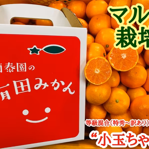 【マルチ栽培・有田みかん】“小玉ちゃん”／等級混合・約2.2kg×2箱【南泰園】