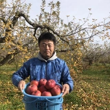 加藤智朗 | かとうりんご農園