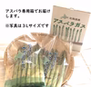 【暴風被害により緊急出品】訳ありアスパラ