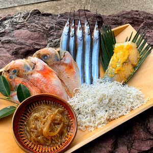 網元漁師激選の【旨い魚介】おまかせ定期便★