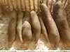 無肥料•無農薬栽培！えがおファームのニコニコヤーコン1kg