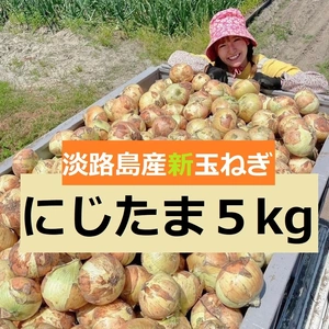 【みずみずしく甘っ！】淡路島産ブランド新玉ねぎ 『にじたま』一級品 5kg
