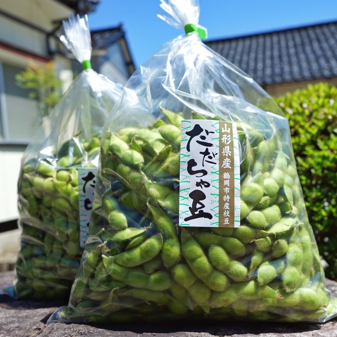 訳あり規格外品‼️本場白山産だだちゃ豆1kg 1kg(1kg×1袋)